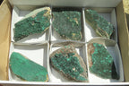 Natural Botryoidal Malachite Specimens x 6 From Tenke Fungurume, Congo - Toprock Gemstones and Minerals 