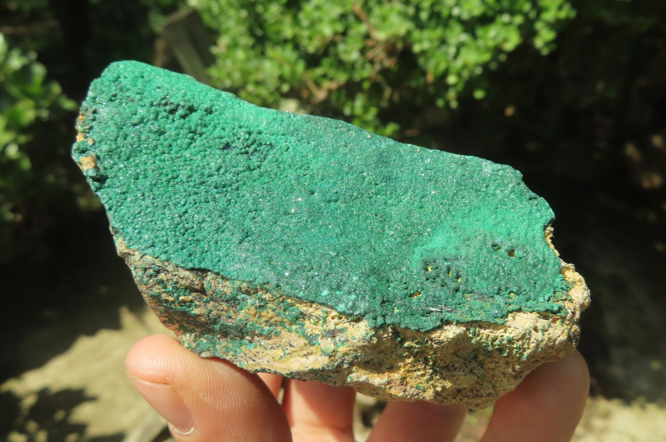 Natural Botryoidal Malachite Specimens x 6 From Tenke Fungurume, Congo - Toprock Gemstones and Minerals 