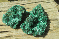 Natural Silky Malachite Specimens x 2 From Kasompe, Congo - Toprock Gemstones and Minerals 