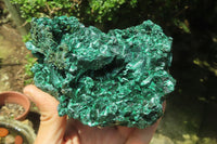 Natural Silky Malachite Specimens x 2 From Kasompe, Congo - Toprock Gemstones and Minerals 