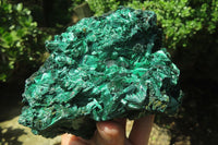 Natural Silky Malachite Specimens x 2 From Kasompe, Congo - Toprock Gemstones and Minerals 