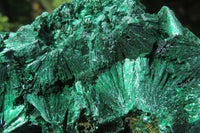 Natural Silky Malachite Specimens x 2 From Kasompe, Congo - Toprock Gemstones and Minerals 