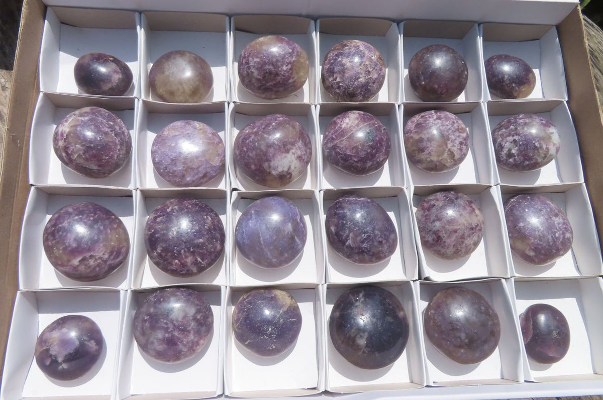 Polished Lepidolite with Pink Rubellite Palm Stones x 24 From Ambatondrazaka, Madagascar - Toprock Gemstones and Minerals 