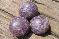 Polished Lepidolite with Pink Rubellite Palm Stones x 24 From Ambatondrazaka, Madagascar - Toprock Gemstones and Minerals 
