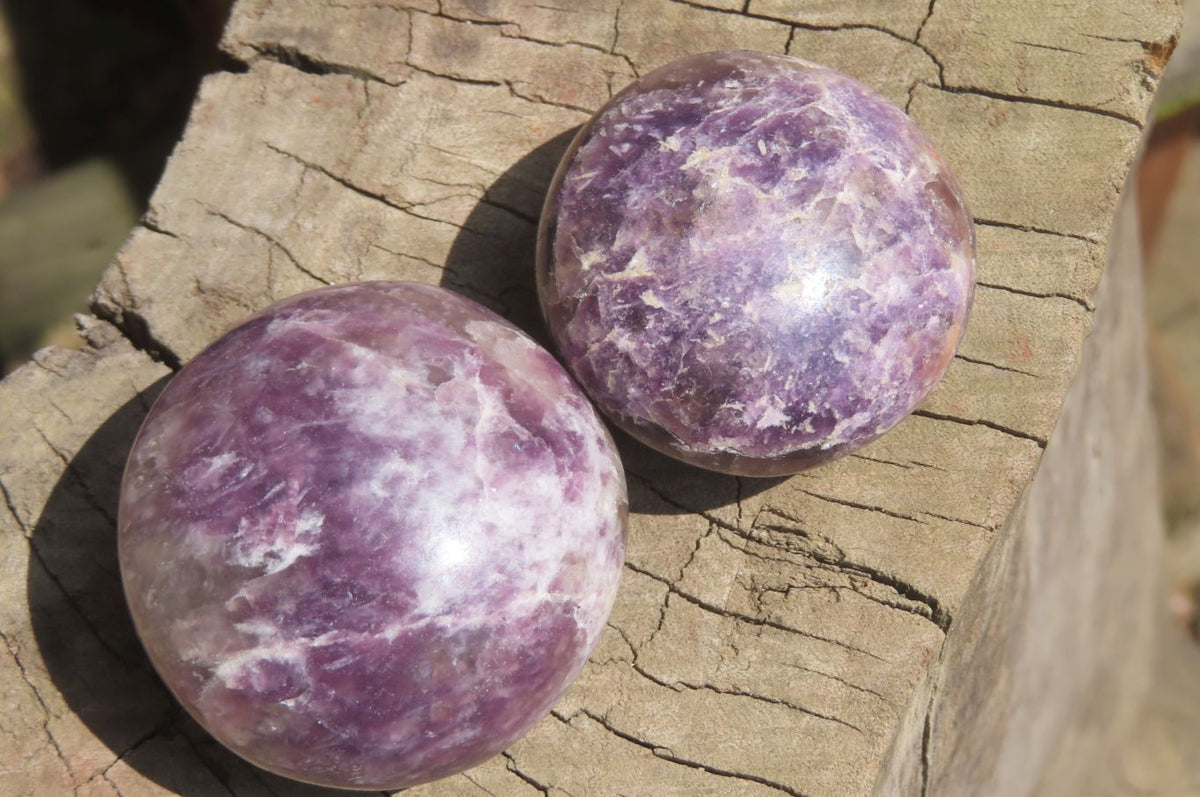 Polished Lepidolite with Pink Rubellite Palm Stones x 24 From Ambatondrazaka, Madagascar - Toprock Gemstones and Minerals 