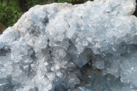 Natural Celestite Geode Specimen x 1 From Sakoany, Madagascar - Toprock Gemstones and Minerals 