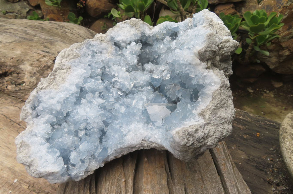 Natural Celestite Geode Specimen x 1 From Sakoany, Madagascar - Toprock Gemstones and Minerals 