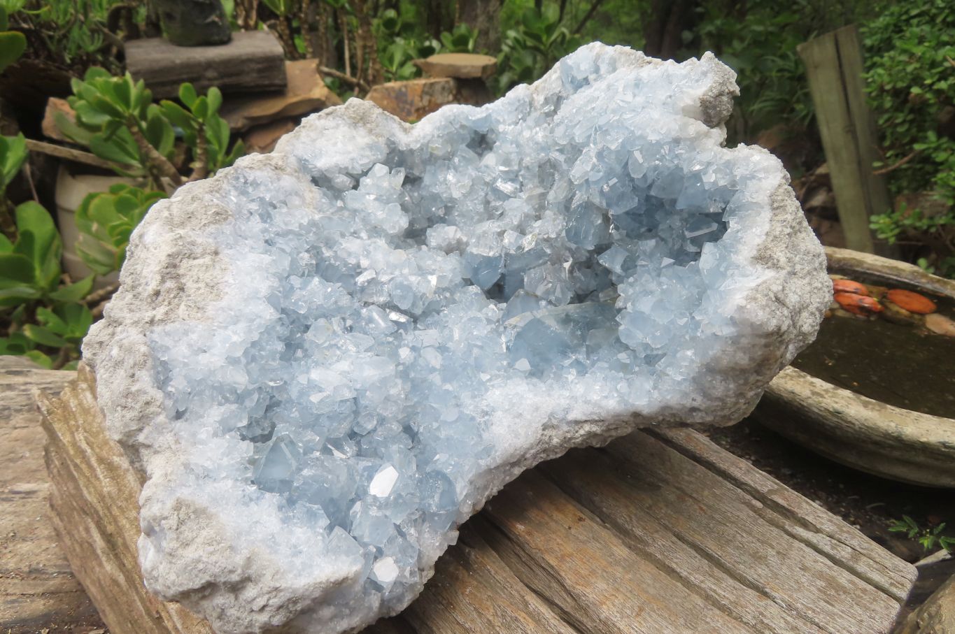 Natural Celestite Geode Specimen x 1 From Sakoany, Madagascar - Toprock Gemstones and Minerals 