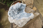 Natural Celestite Geode Specimen x 1 From Sakoany, Madagascar - Toprock Gemstones and Minerals 