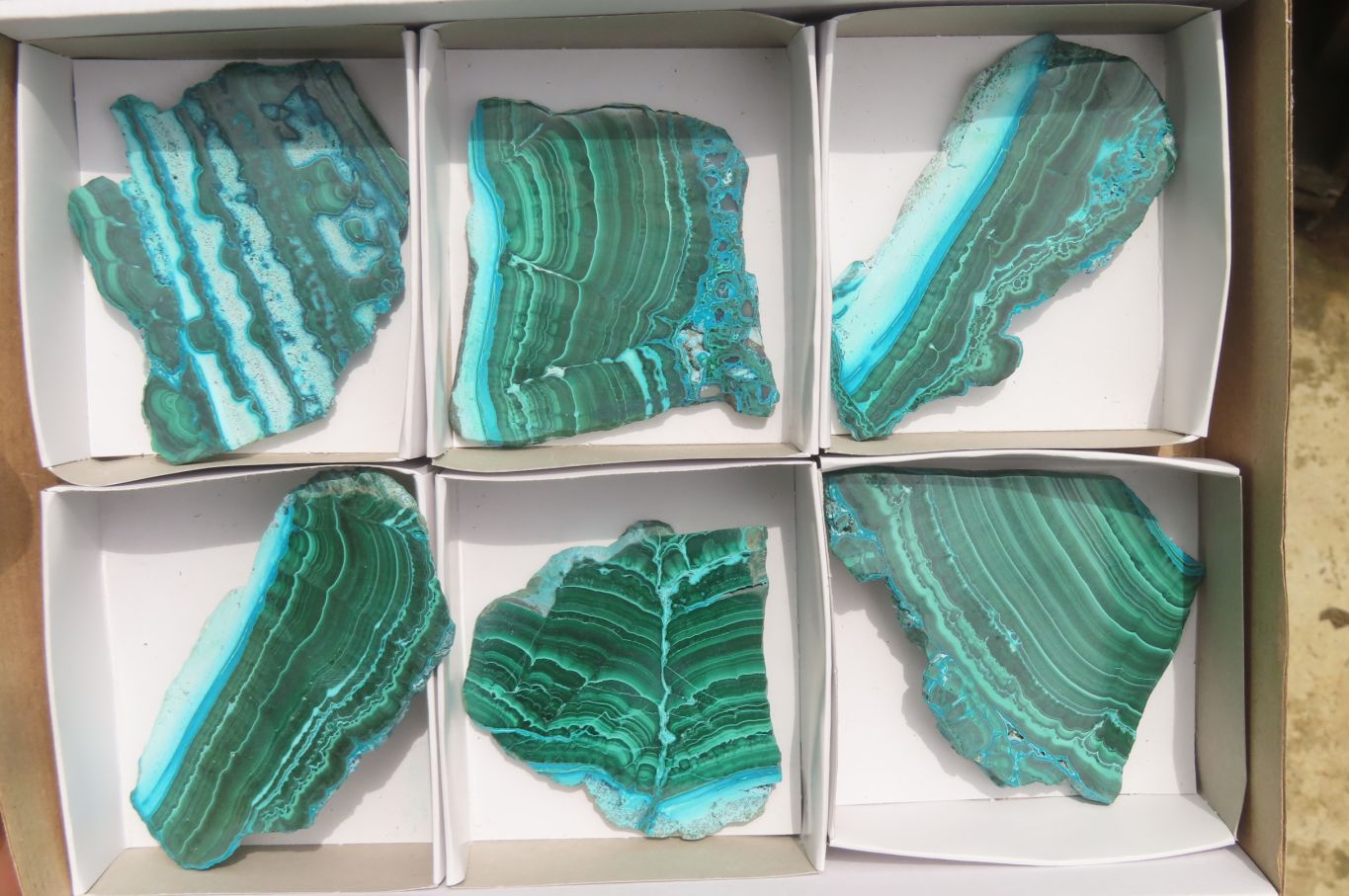 Polished Malacolla Slices x 6 From Kalukundi Mine, Congo - Toprock Gemstones and Minerals 