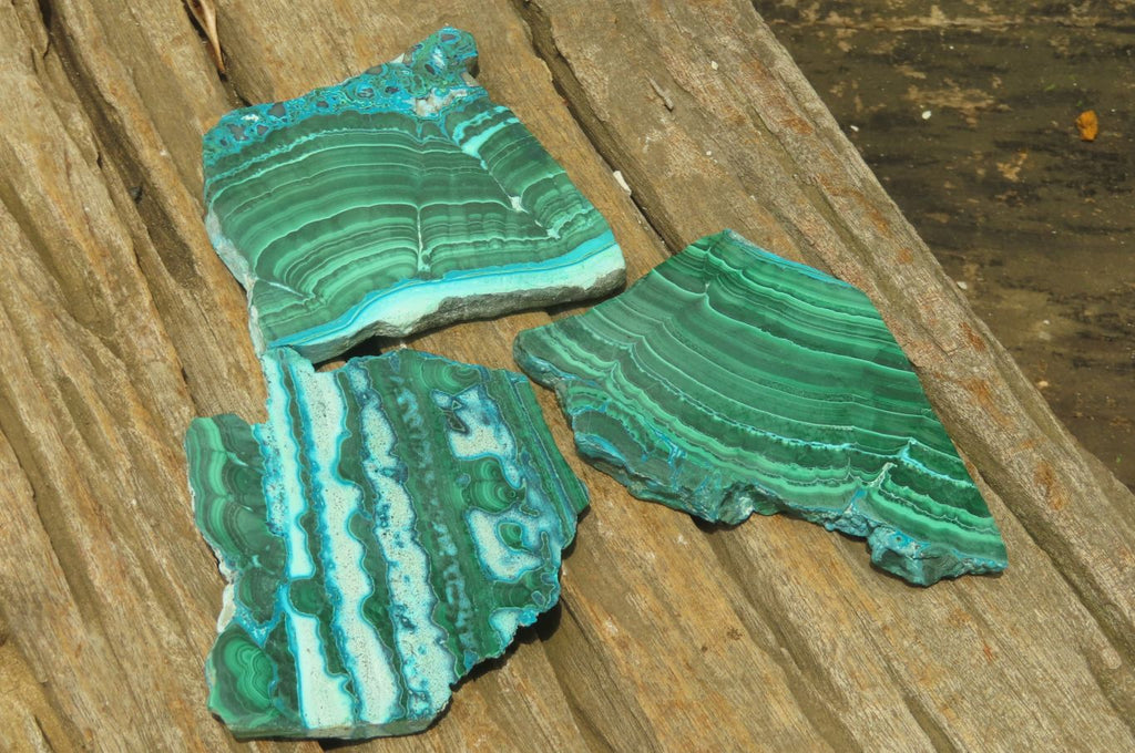 Polished Malacolla Slices x 6 From Kalukundi Mine, Congo - Toprock Gemstones and Minerals 