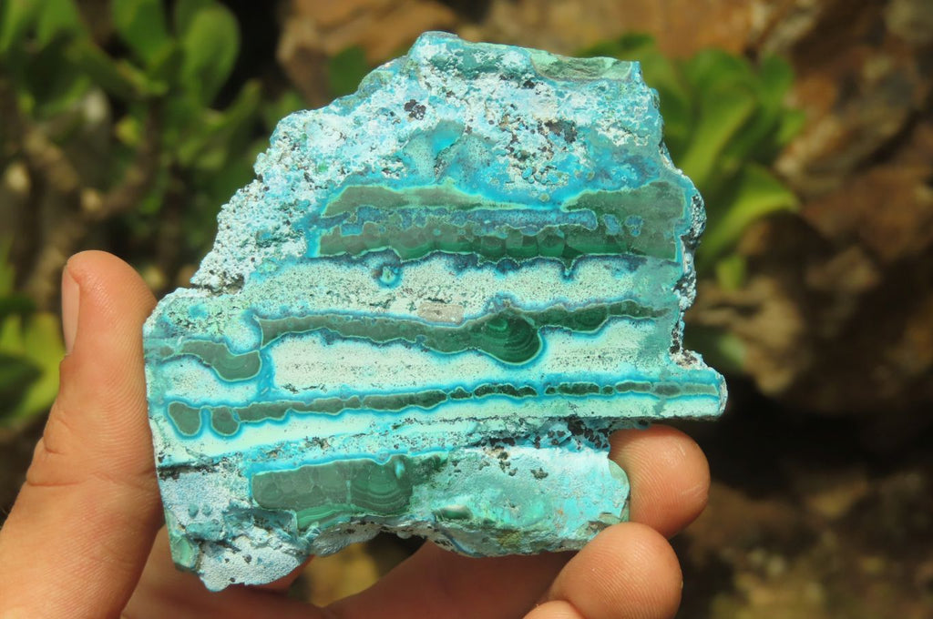 Polished Malacolla Slices x 6 From Kalukundi Mine, Congo - Toprock Gemstones and Minerals 