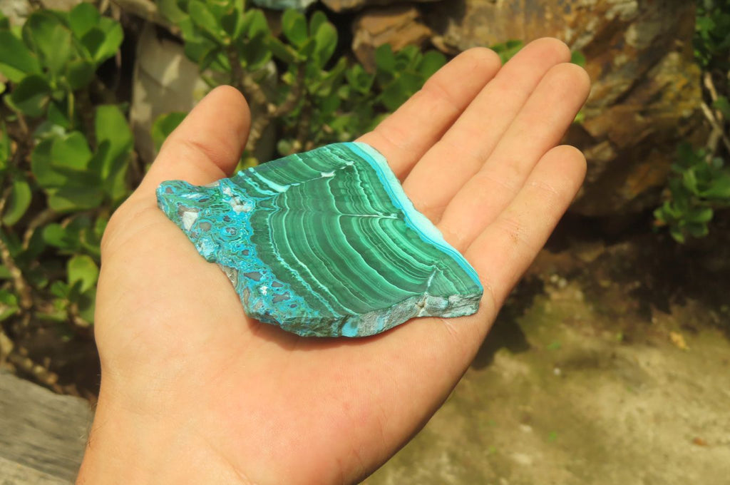 Polished Malacolla Slices x 6 From Kalukundi Mine, Congo - Toprock Gemstones and Minerals 