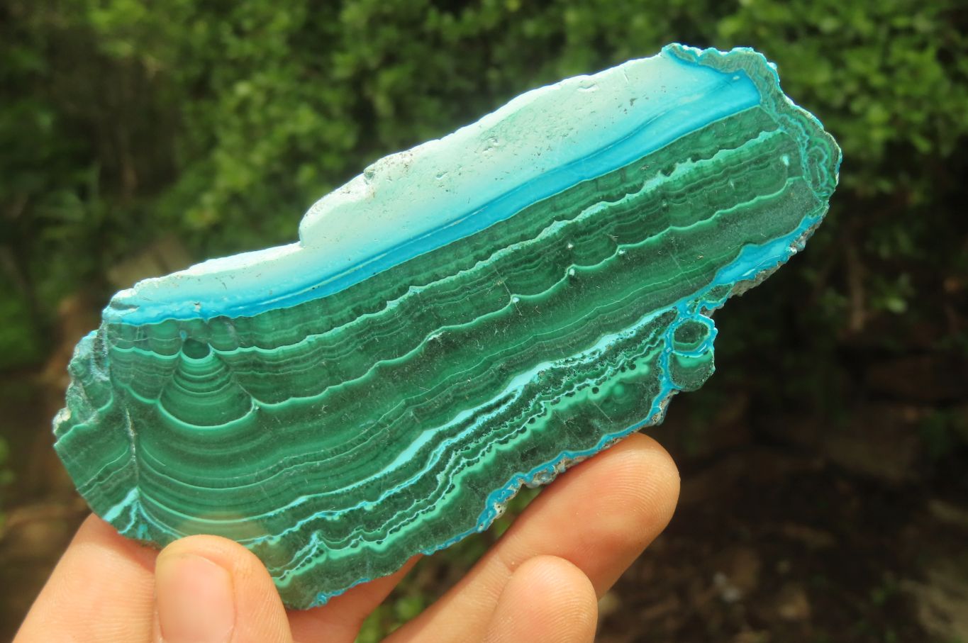 Polished Malacolla Slices x 6 From Kalukundi Mine, Congo - Toprock Gemstones and Minerals 