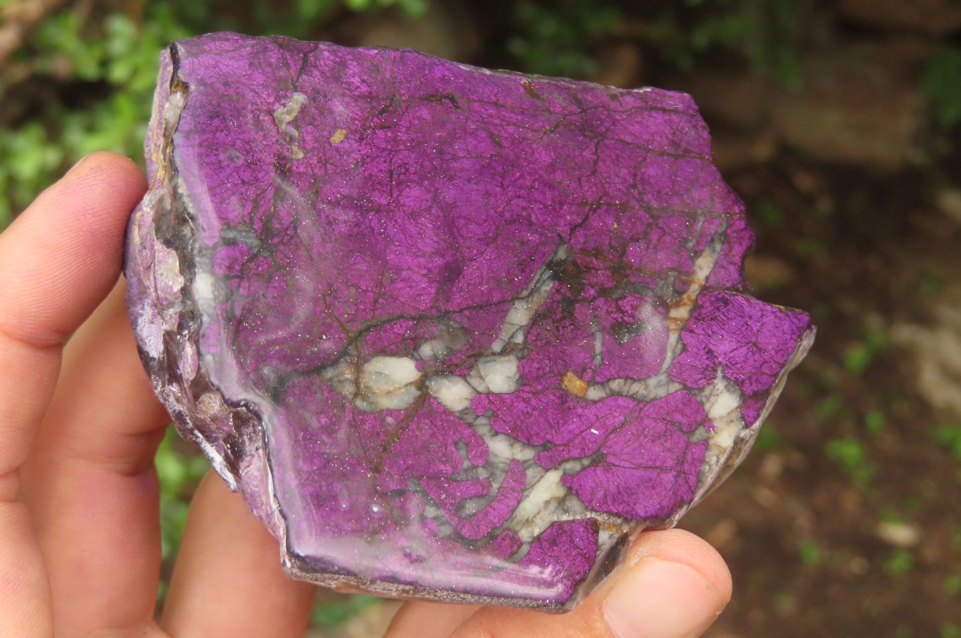 Polished On One Side Metallic Purpurite x 3 From Namibia - Toprock Gemstones and Minerals 