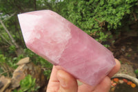 Polished Rose Quartz Points x 3 From Madagascar - Toprock Gemstones and Minerals 