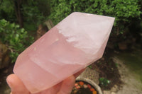 Polished Rose Quartz Points x 3 From Madagascar - Toprock Gemstones and Minerals 
