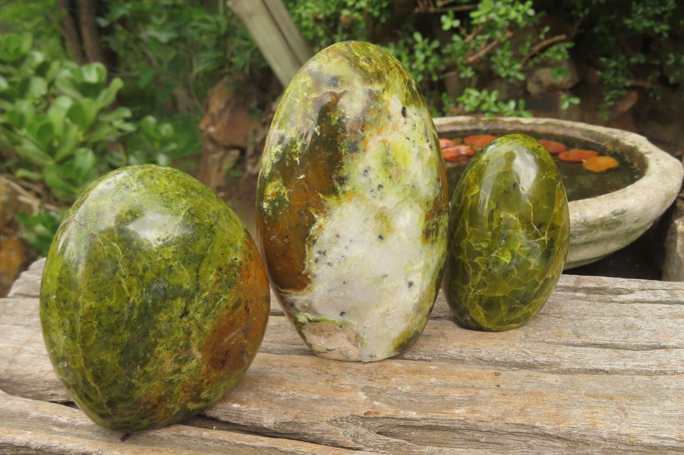 Polished Green Opal Standing Free Forms x 3 From Antsirabe, Madagascar - Toprock Gemstones and Minerals 