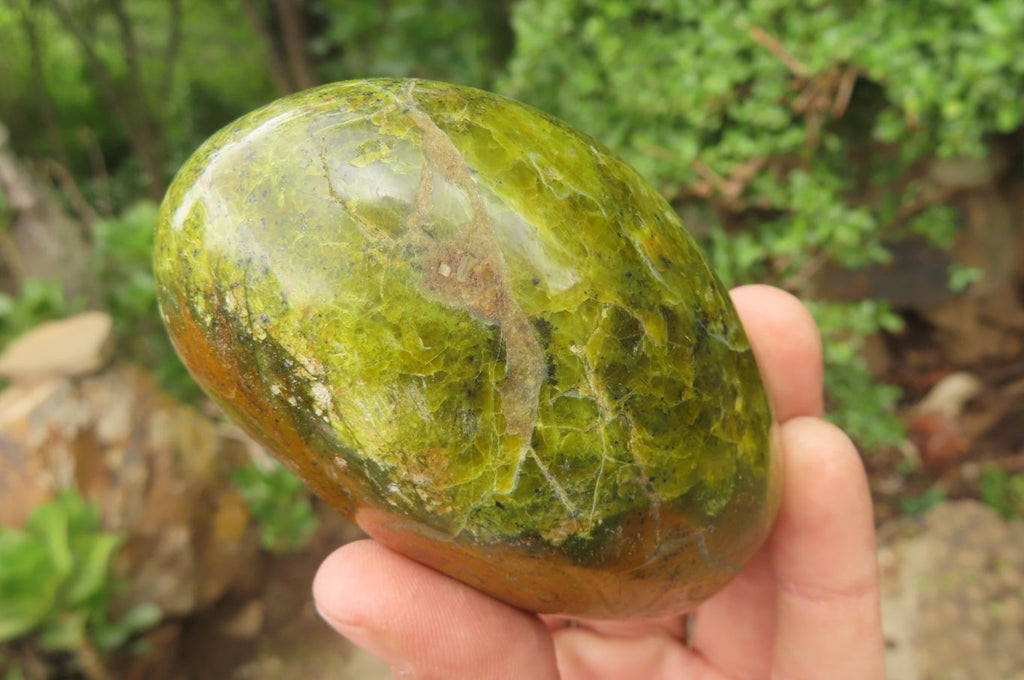 Polished Green Opal Standing Free Forms x 3 From Antsirabe, Madagascar - Toprock Gemstones and Minerals 