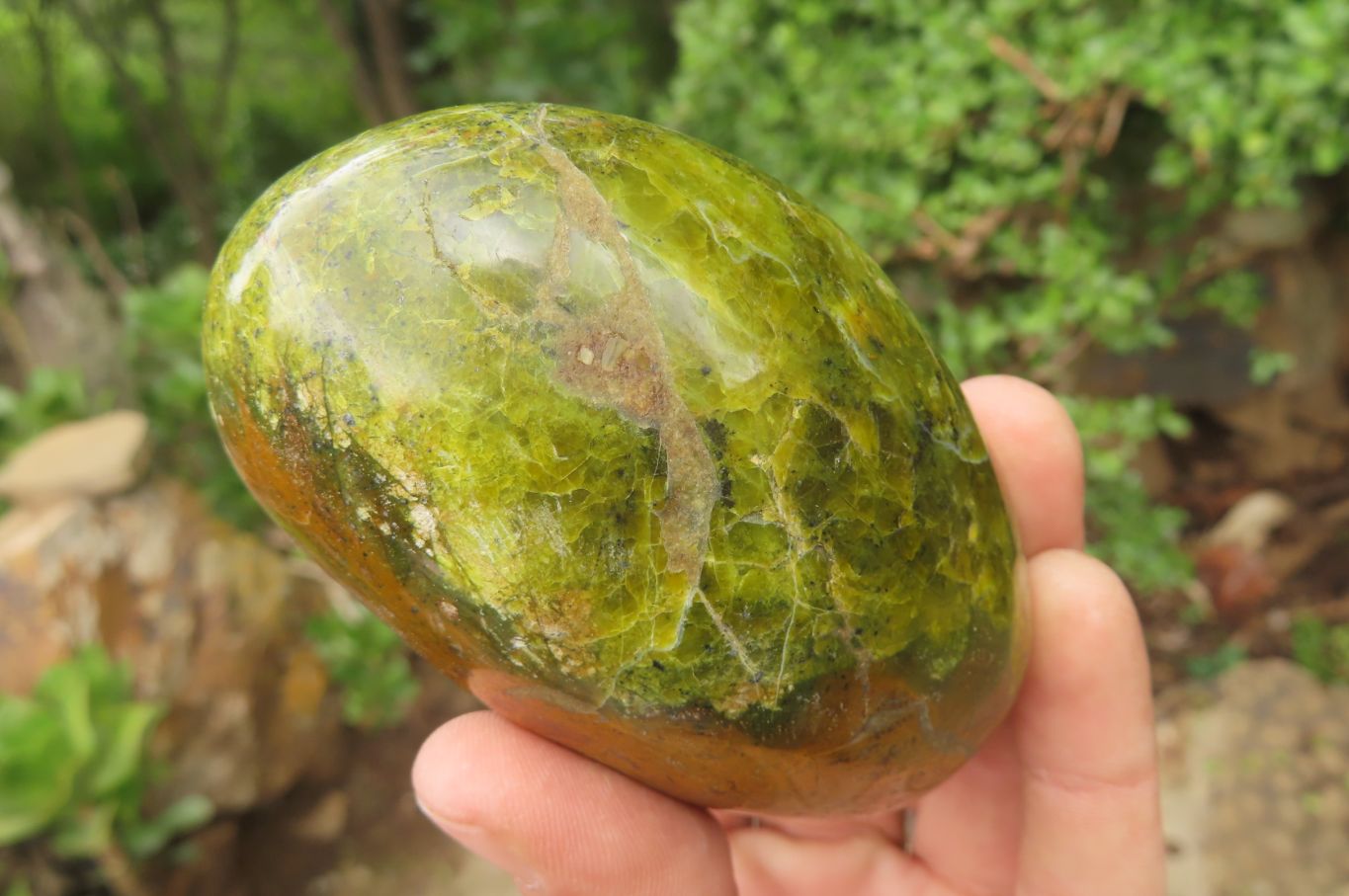 Polished Green Opal Standing Free Forms x 3 From Antsirabe, Madagascar - Toprock Gemstones and Minerals 