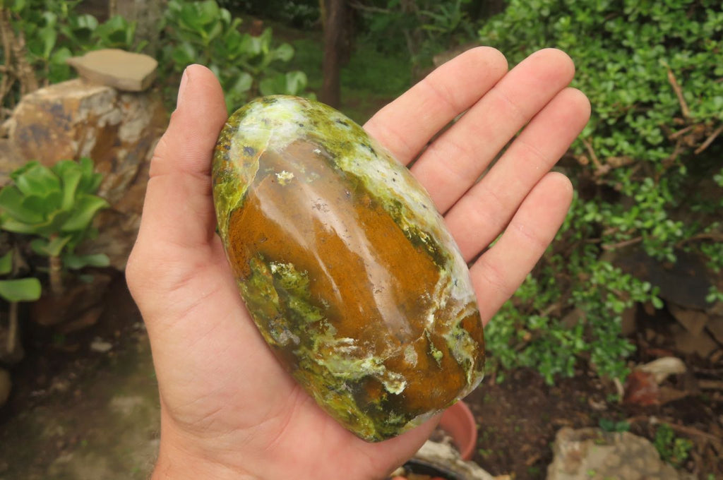 Polished Green Opal Standing Free Forms x 3 From Antsirabe, Madagascar - Toprock Gemstones and Minerals 