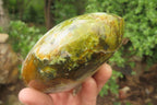 Polished Green Opal Standing Free Forms x 3 From Antsirabe, Madagascar - Toprock Gemstones and Minerals 