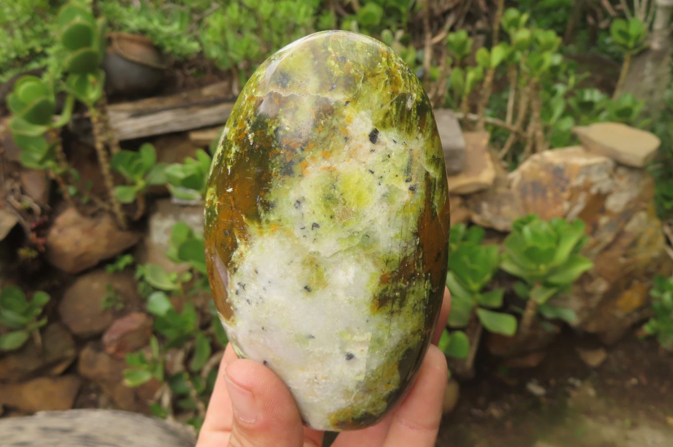 Polished Green Opal Standing Free Forms x 3 From Antsirabe, Madagascar - Toprock Gemstones and Minerals 