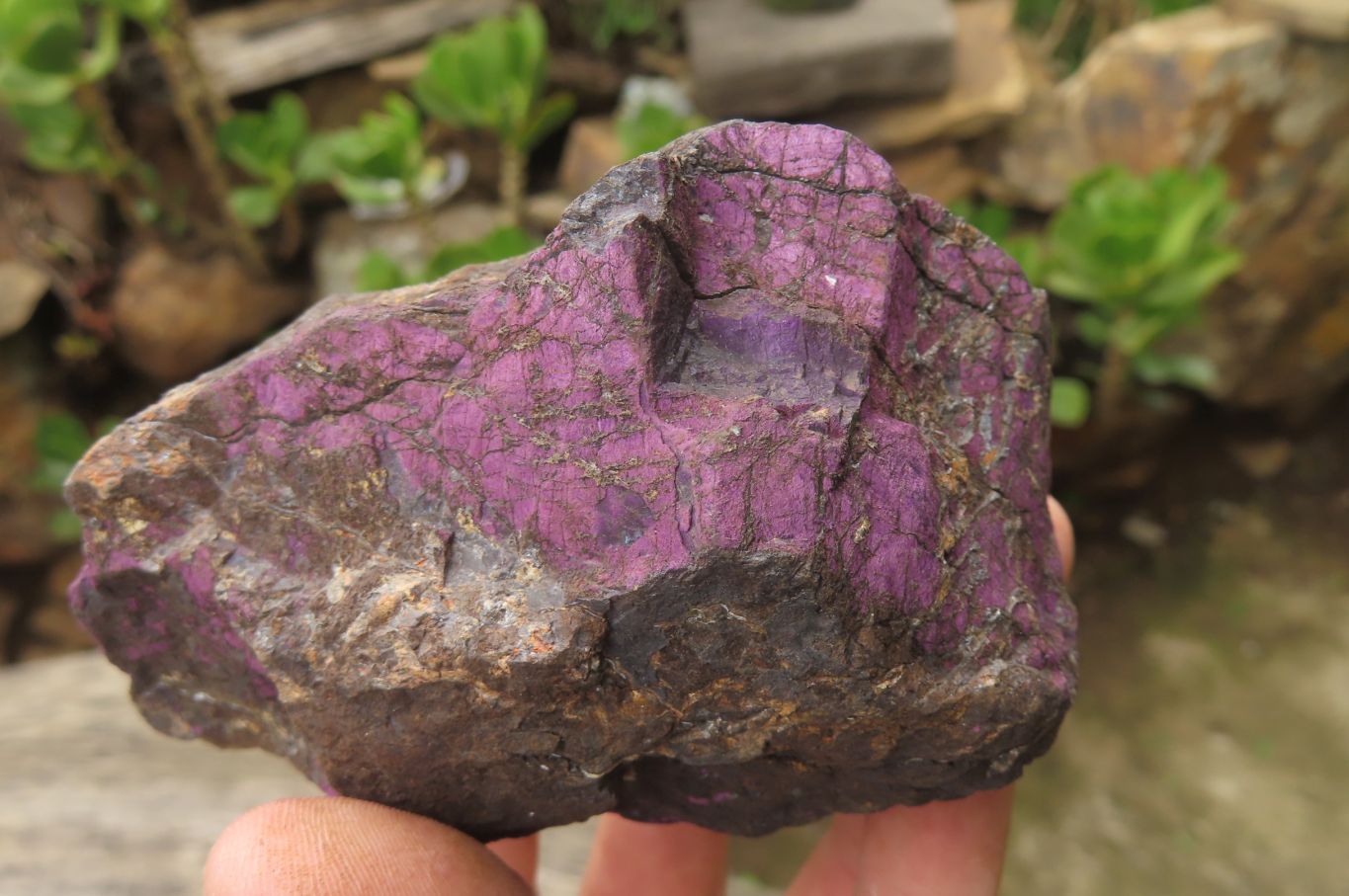 Natural Metallic Purpurite Specimens x 2 From Namibia - Toprock Gemstones and Minerals 