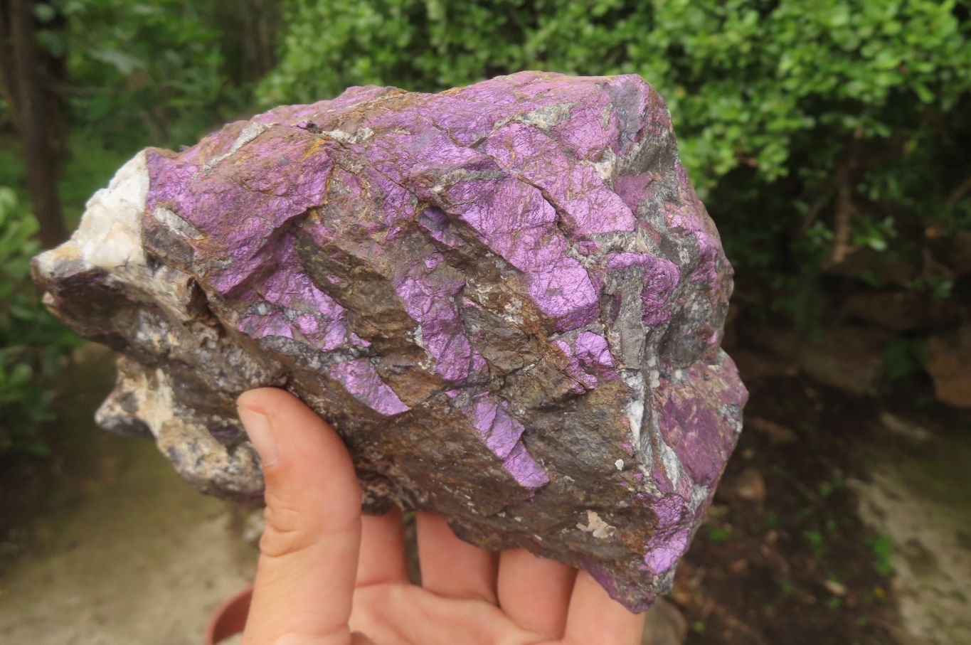 Natural Metallic Purpurite Specimens x 2 From Namibia - Toprock Gemstones and Minerals 