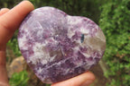 Polished Lepidolite Gemstone Hearts x 6 From Madagascar - Toprock Gemstones and Minerals 