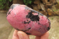 Polished On One Side Rhodonite x 6 From Madagascar - Toprock Gemstones and Minerals 