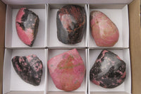 Polished On One Side Rhodonite x 6 From Madagascar - Toprock Gemstones and Minerals 