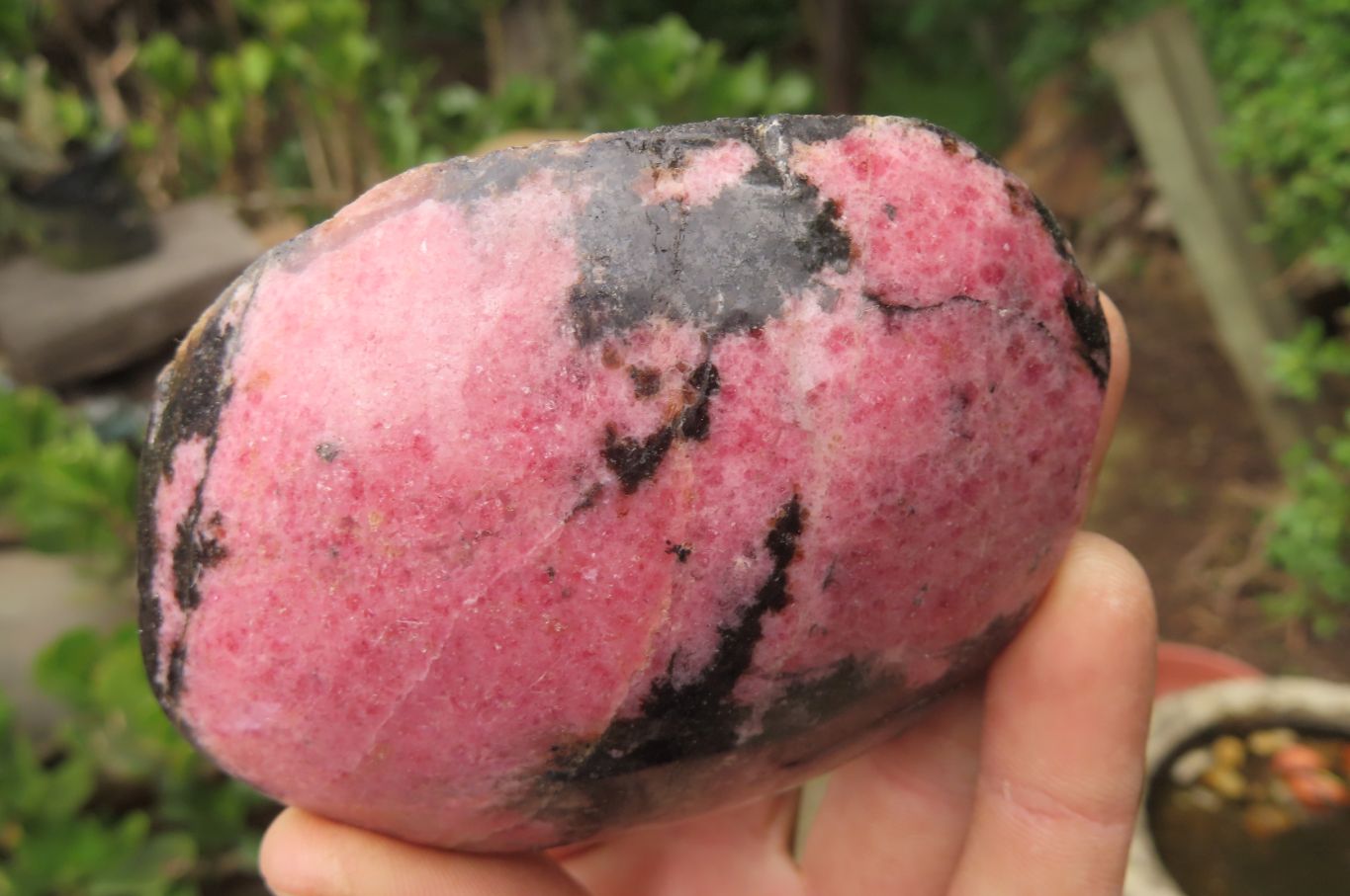 Polished On One Side Rhodonite x 6 From Madagascar - Toprock Gemstones and Minerals 
