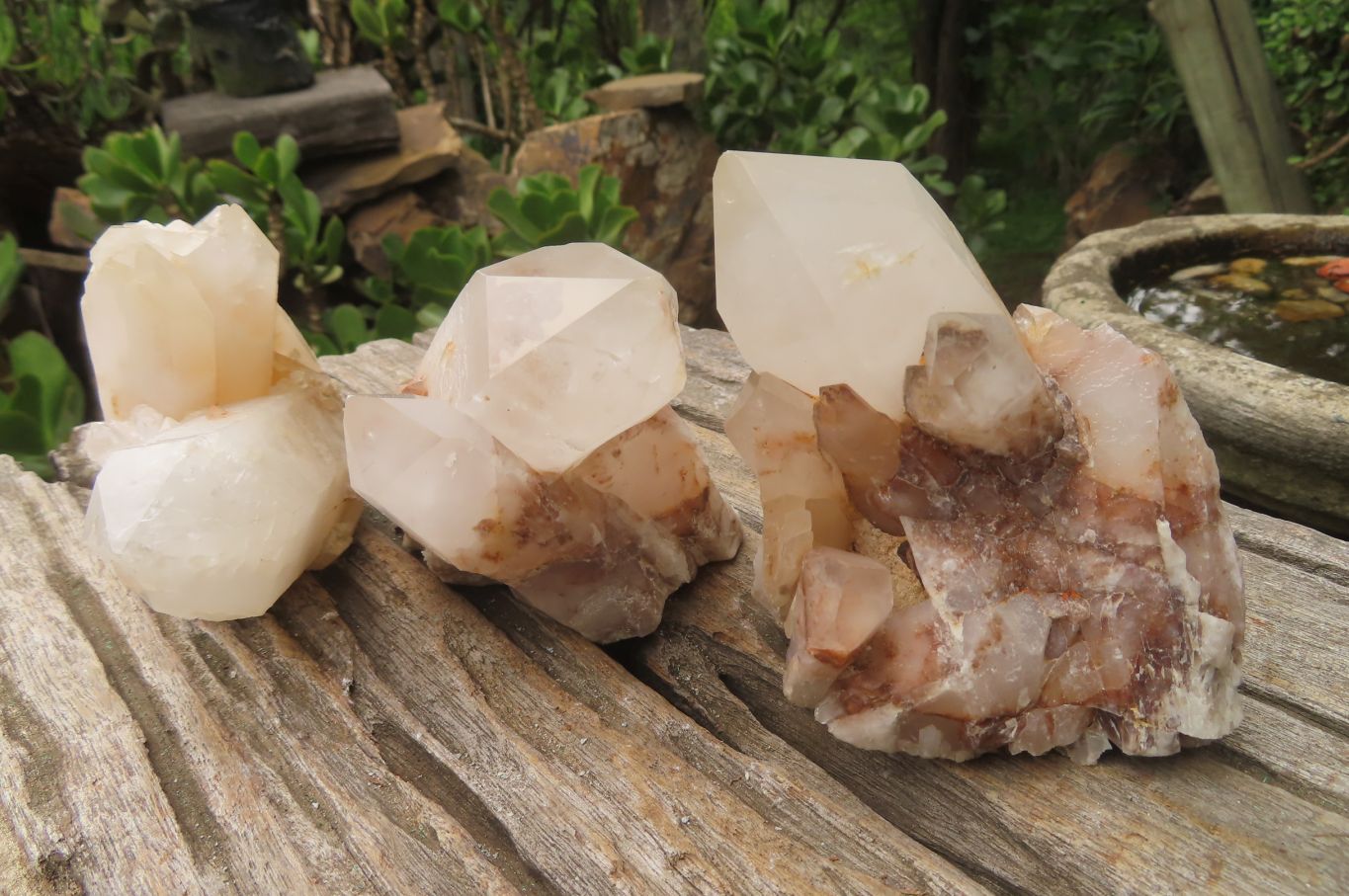 Natural Pineapple Candle Quartz Clusters x 6 From Antsirabe, Madagascar - Toprock Gemstones and Minerals 