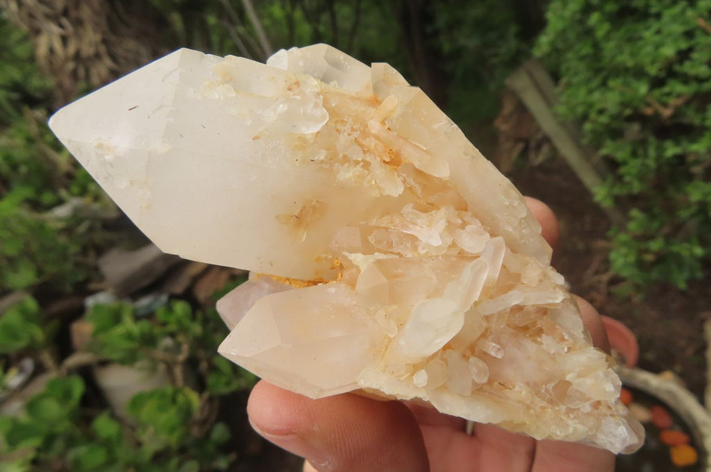 Natural Pineapple Candle Quartz Clusters x 6 From Antsirabe, Madagascar - Toprock Gemstones and Minerals 