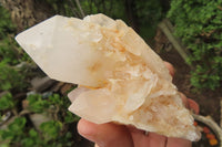 Natural Pineapple Candle Quartz Clusters x 6 From Antsirabe, Madagascar - Toprock Gemstones and Minerals 