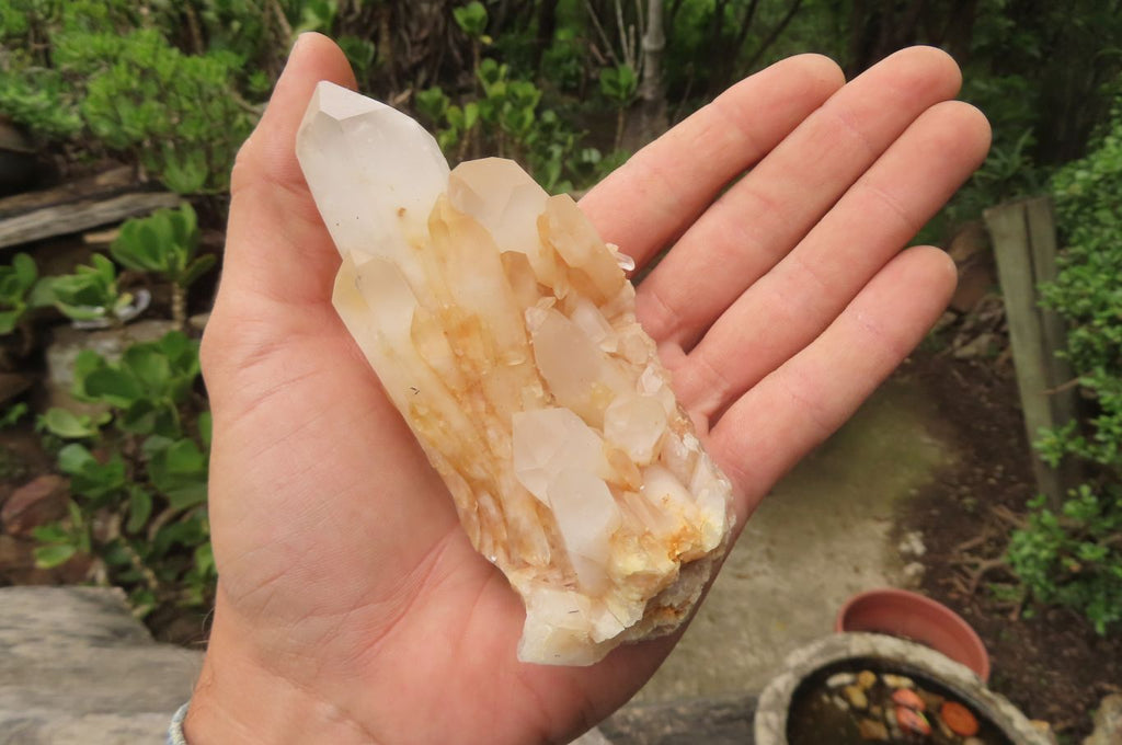 Natural Pineapple Candle Quartz Clusters x 6 From Antsirabe, Madagascar - Toprock Gemstones and Minerals 