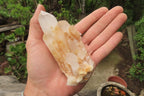 Natural Pineapple Candle Quartz Clusters x 6 From Antsirabe, Madagascar - Toprock Gemstones and Minerals 