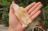 Natural Pineapple Candle Quartz Clusters x 6 From Antsirabe, Madagascar - Toprock Gemstones and Minerals 