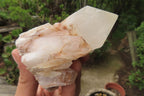 Natural Pineapple Candle Quartz Clusters x 6 From Antsirabe, Madagascar - Toprock Gemstones and Minerals 