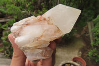 Natural Pineapple Candle Quartz Clusters x 6 From Antsirabe, Madagascar - Toprock Gemstones and Minerals 