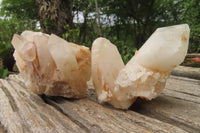 Natural Pineapple Candle Quartz Clusters x 6 From Antsirabe, Madagascar - Toprock Gemstones and Minerals 