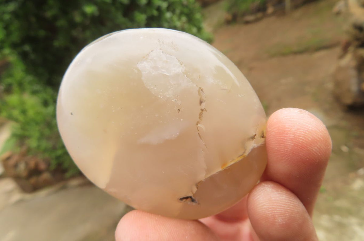 Polished Flower Agate Palm Stones x 24 From Madagascar - Toprock Gemstones and Minerals 