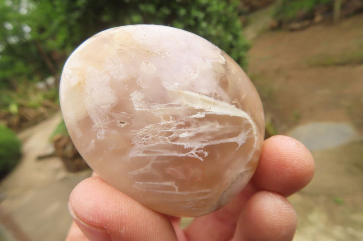 Polished Flower Agate Palm Stones x 24 From Madagascar - Toprock Gemstones and Minerals 