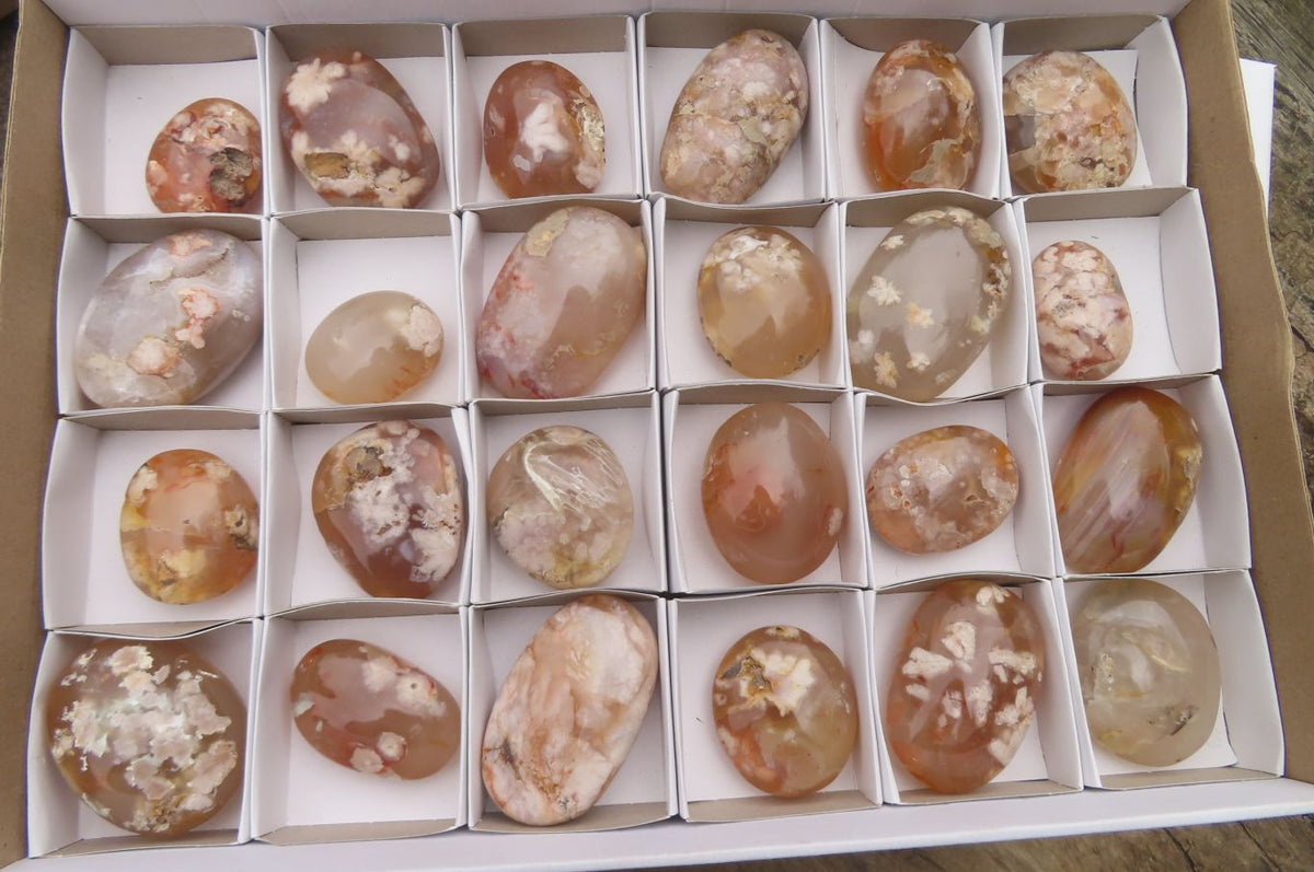 Polished Flower Agate Palm Stones x 24 From Madagascar - Toprock Gemstones and Minerals 