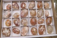 Polished Flower Agate Palm Stones x 24 From Madagascar - Toprock Gemstones and Minerals 