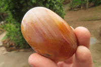 Polished Flower Agate Palm Stones x 24 From Madagascar - Toprock Gemstones and Minerals 
