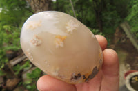 Polished Flower Agate Palm Stones x 24 From Madagascar - Toprock Gemstones and Minerals 