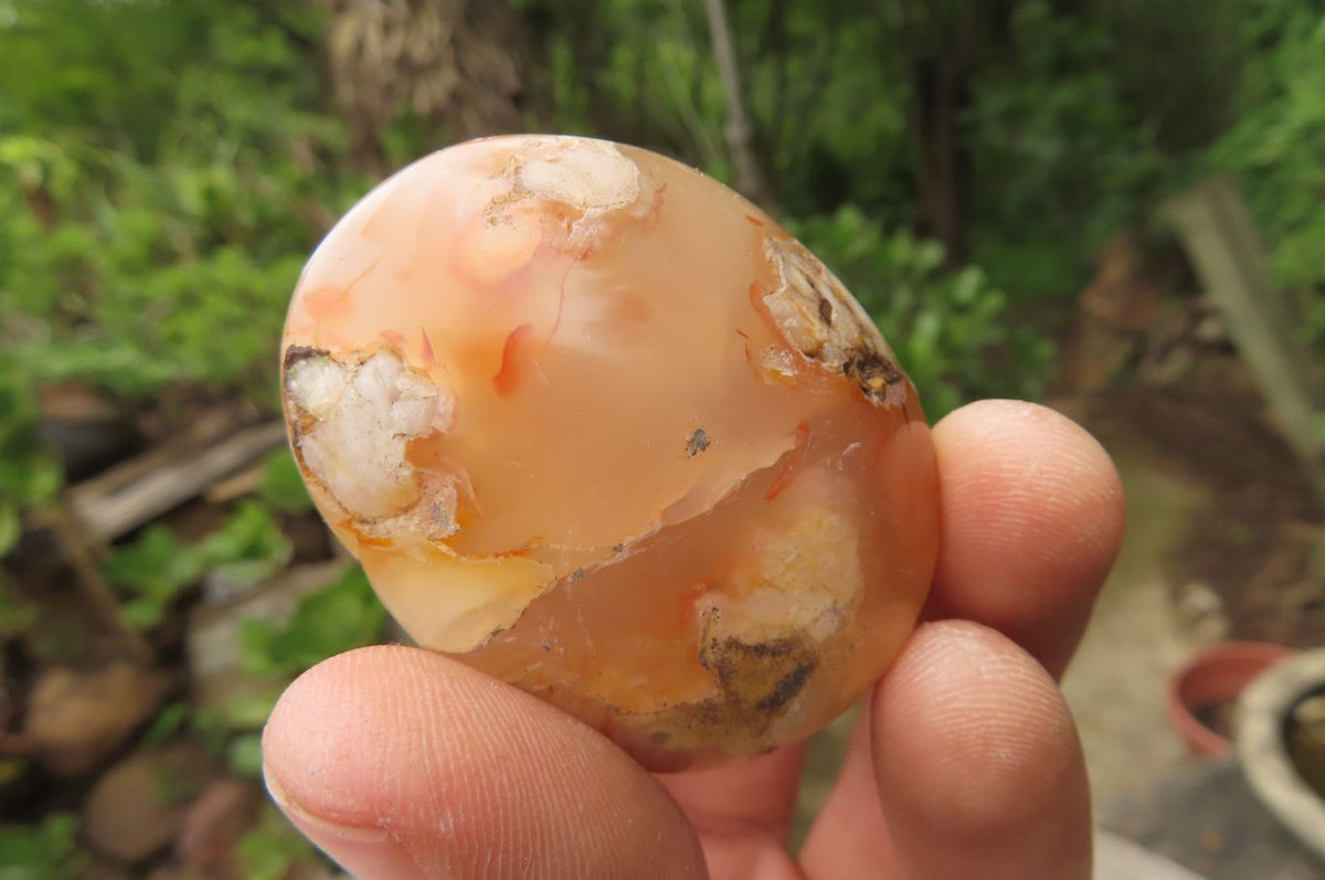 Polished Flower Agate Palm Stones x 24 From Madagascar - Toprock Gemstones and Minerals 