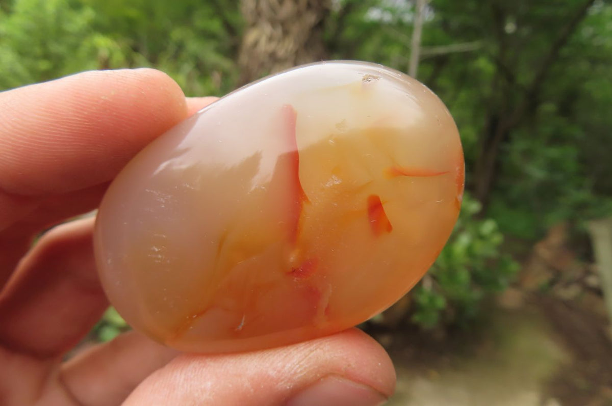 Polished Flower Agate Palm Stones x 24 From Madagascar - Toprock Gemstones and Minerals 